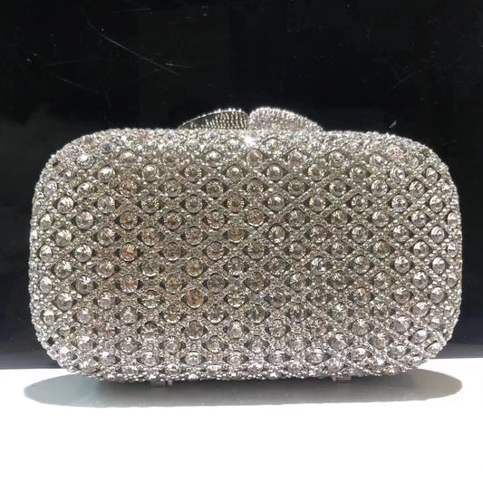 Dazzling Women Silver Stone Clutch