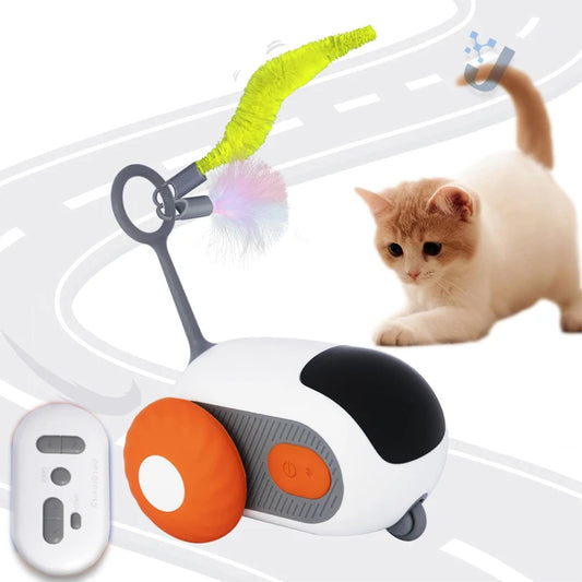 Smart Car for Cats Dogs Playing Training