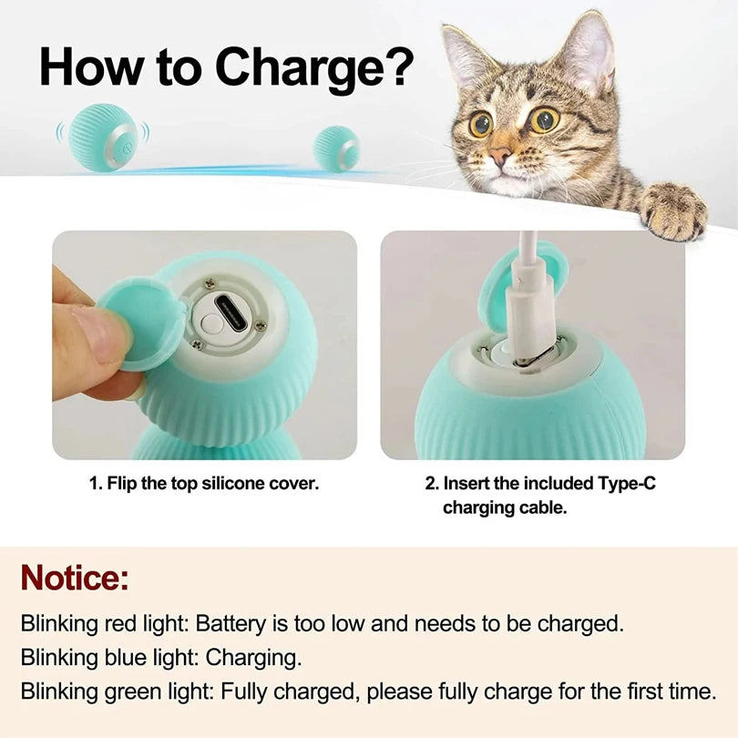 Smart Car for Cats Dogs Playing Training